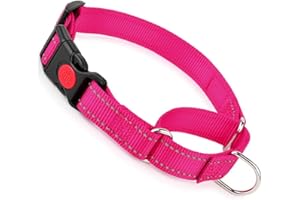 YOUALSO Martingale Collar for Dogs with Buckle, Reflective Dog Choke Collar Escape Proof No Pull Cinch Dog Training Collars Adjustable for Small Medium Large XL Breed Pet Dogs, Pink L
