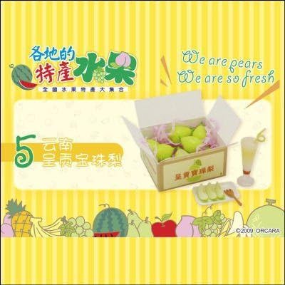 ORCARA world of fruit miniature food sample [5]