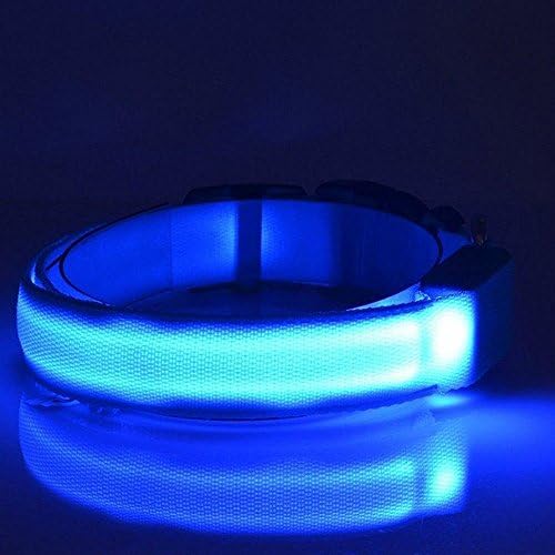 CUPET USB Charging Pet Collar - LED Glowing Flashing Nylon Dog Collar - 3 Flashing Modes Luminous Safety Collar For Night Walking (Include USB Cable) (S, Blue)