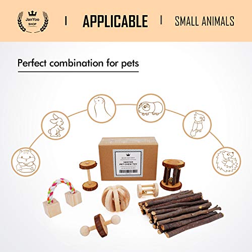 1 JanYoo+Chinchilla+Accessories+Rabbits+Hamster