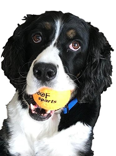 Dog Tennis Balls by Woof Sports - 12 Orange Ecofriendly Balls & Mesh Carrying Bag. Medium Size Balls Fits Standard Ball Launchers