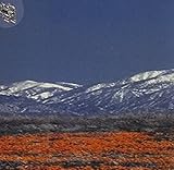 ALL LINGOS CLAMOR (JEWL)                           image