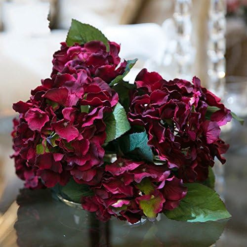 Single Beam-style Simulation Of Hydrangea/5 Autumn Hydrangea-D