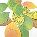 Cute Tree Leaf Sticky Notes/Paper Memo Self-Adhesive Notes, 3.93