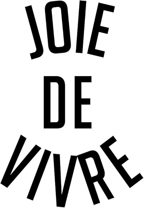 Amazon Com Vinyl Wall Art Decal Joie De Vivre 16 X 23 Happy Joyful Life French Quote For Home Living Room Bedroom Sticker Decor Peel And Stick Apartment Work