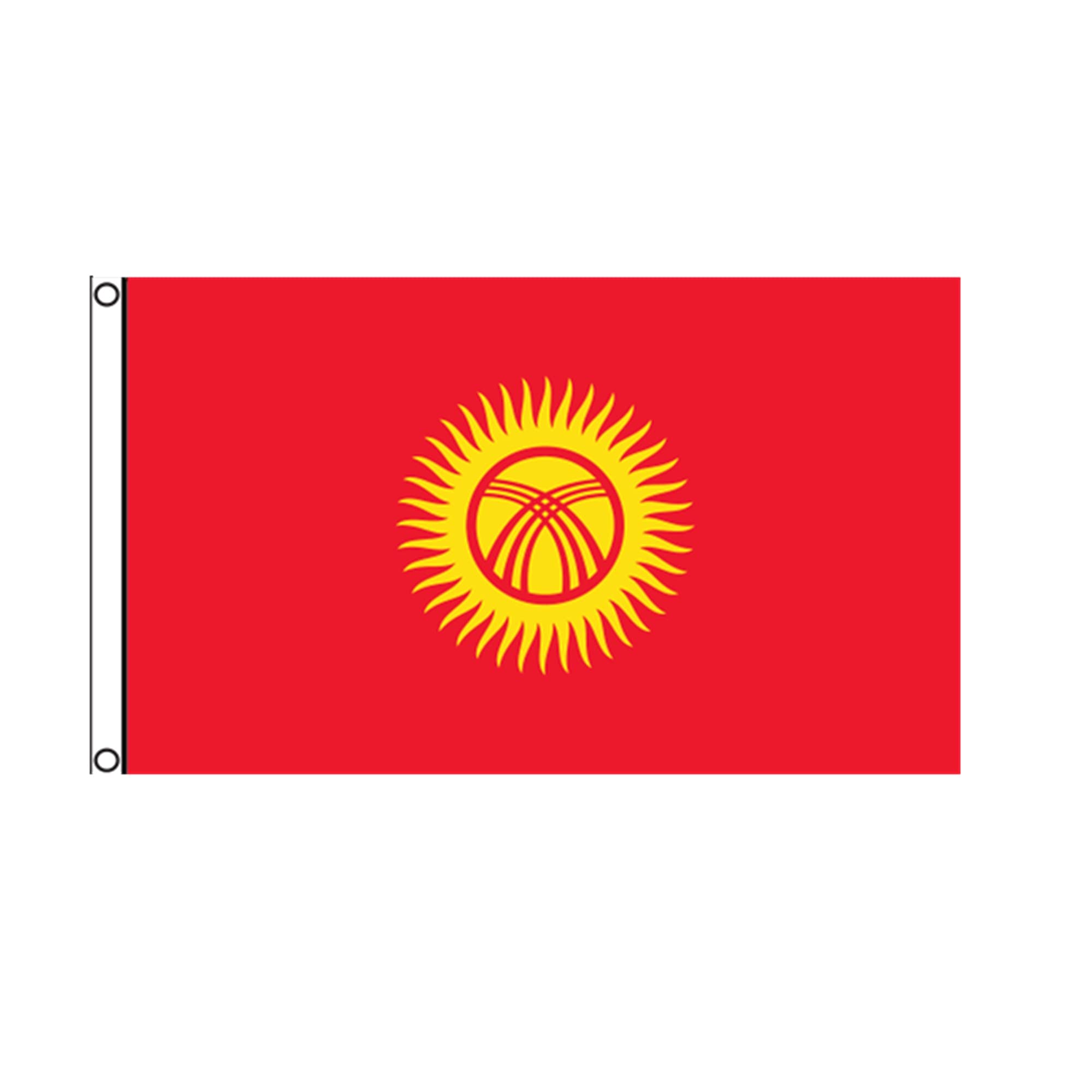 PinkDisplay Aisa flag (Kyrghyzstan)3x5ft(90x150cm) eyelets and double stitches