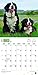 Bernese Mountain Dogs 2017 Calendar