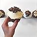 KNOW Foods Gluten Free Cupcakes, Low Carb, Paleo + Keto Friendly - 4 Count