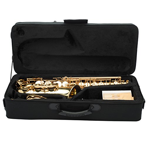 Jean Paul USA AS-400 Student Alto Saxophone