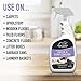 EBPP Odor & Stain Eraser - Made in The USA - Pet Odor Absorber and Room Deodorizer for Home Use - Odor Remover and Urine Odor Eliminator - Lavender Enzyme Carpet Cleaner