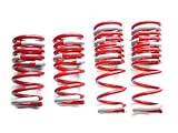 Tanabe TGF039 GF210 Lowering Spring with Lowering