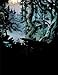 Siegfried Volume 2: The Valykrie
