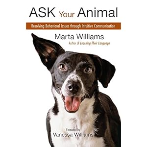 Ask Your Animal: Resolving Animal Behavioral Issues Through Intuitive Communication