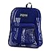 Jansport Mesh Backpack