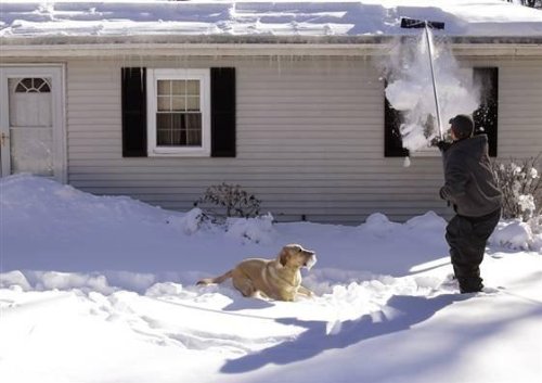 4 Snow+Joe+RJ200M+16+Foot+Aluminum