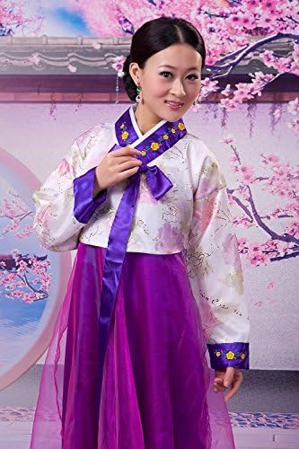 Set of 2 Korean national costume cosplay party dress purple Dynasty picture scroll! Chimachogori (japan import)