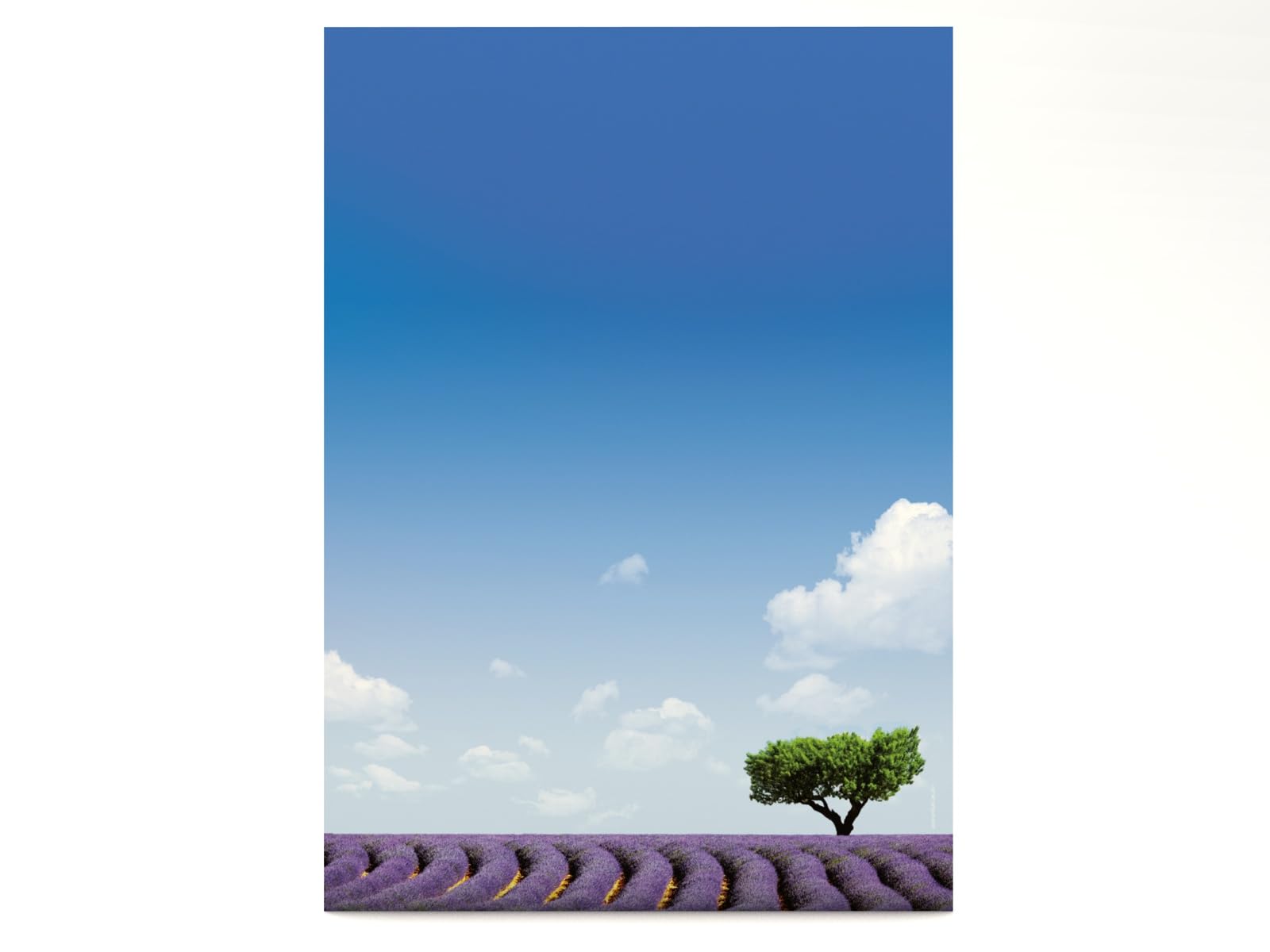 Flowers and Nature Lavender 100 Sheets DIN A4, 90g/qm