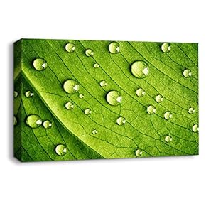 Canvas Wall Art Leaf Veins Pictures Home Wall Decorations for Bedroom Living Room Paintings Canvas Prints Framed - 12x18 inches