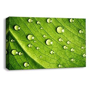 Leaf Veins Pictures Home Wall for Bedroom Living...