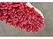 Slipper Genie Evriholder Microfiber Women's Slippers, 6-9, Pink