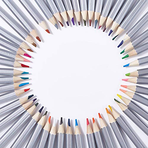 OOKU Artist Pro Watercolor Pencils Set 48 Colors / 51 Pc Full Kit | Wet Water Color Pencils Set / Dry Coloring Pencils Set for Adults, Kids | w/BONUS Wool Pencil Wrap, Watercolor Brush, Sharpener