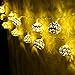 Goodia LED String Lights, Battery Operated 40 LED Gold Moroccan for Bedroom,Curtain,Patio,Lawn,Landscape,Fairy Garden,Home,Wedding,Holiday,Christmas Tree,Party (Warm White)