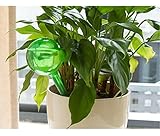 Mkono 2pcs Self Watering Aqua Globes Small Plant Automatic Watering Bulbs Ball