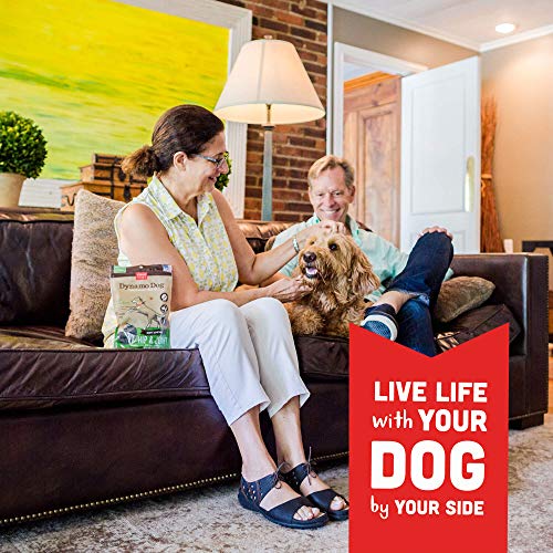 Cloud Star Dynamo Dog Hip & Joint Treats Grain Free Hip Support with