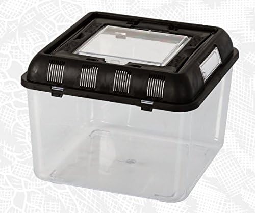 Pet Supplies, MOTINA Plastic Aquarium Breeding Box Suitable for Larva of The Reptiles(Large)