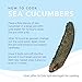 SB Organics Royal Black - Wild Caught Sea Cucumber Dried All Natural Nutritious - 8 oz.