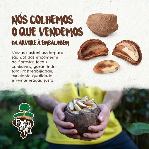 Castanha-do-Pará 500g Orgânica Inteira – Fonte de Proteína Vegetal e Selênio – Vegana, Kosher, Sem Glúten, Sem Conservantes – Floresta em Pé
