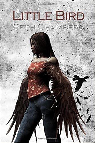 Little Bird Seth Chambers 9781546446439 Amazon Com Books