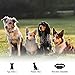 Citronella Spray Bark Collar, Automatic Training Bark Collar Rechargeable Citronella Anti-Bark Collar for Dogs Small Medium Large No Shock Harmless Waterproofthumb 3