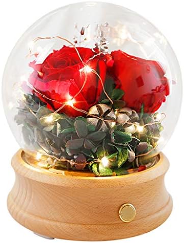 JHNEA Beauty and the Beast Rose, Enchanted Red Silk Rose Lamp Bluetooth music box Fallen Petals Best Gift for Her