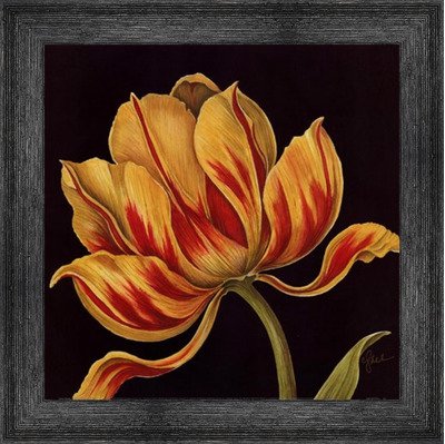 Amazoncom Poster Palooza Framed Fleur Rouge Et Jaune