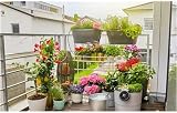 Gardena AquaBloom Solar-Powered Irrigation Set for Balcony & Patio Plants view 20