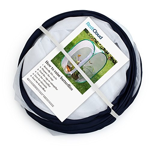 3 RESTCLOUD+Insect+Butterfly+Habitat+Terrarium