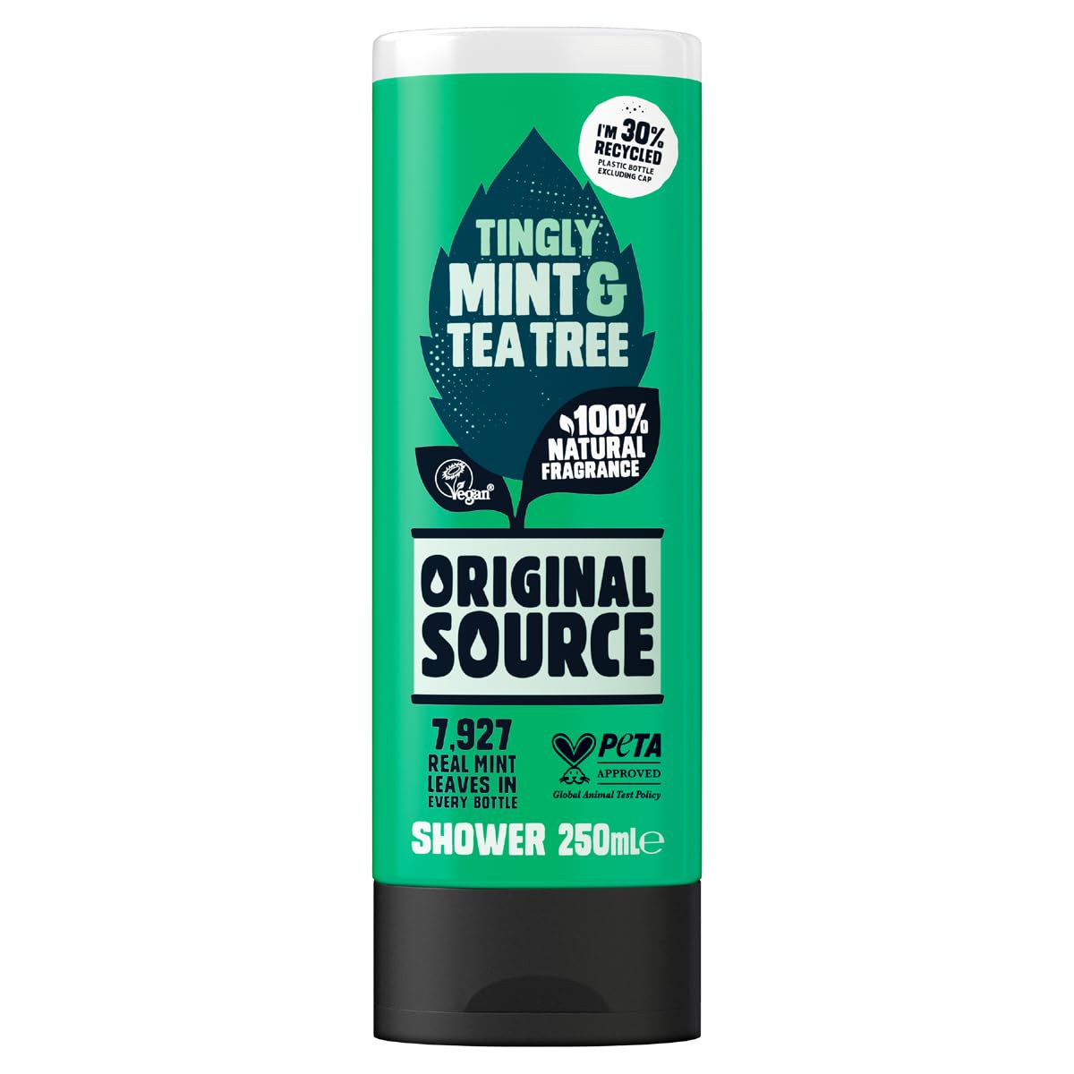 Orig Source S/Gel Mint 250ML