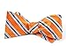 100% Woven Silk Tangerine Bella Striped Self-Tie Bow Tie