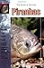 The Guide to Owning Piranhas by Manolito Pinkguni