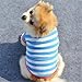 Mikey Store Pet Dog Clothes Soft Thickening Warm Stripe Polar Fleece Winter Clothes (Blue, XS)