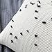EIGRAMSET Bigcozy Boho Lumbar Pillow Cover Tassel, Farmhouse Small Cream Decorative, Modern Moroccan Accent Tribal Cotton Woven Pillow Case, 12
