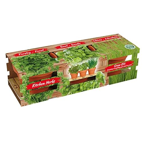Healthy Kitchen Herb Trio Kit | Easy to Grow Basil, Parsley and Chives Seeds In Your Own Kitchen | TotalGreen Holland Patio, Lawn & Garden, Gardening & Lawn Care, Plants, Seeds & Bulbs, Herbs