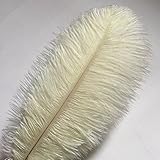 Sowder 10pcs Ostrich Feathers 12-14inch(30-35cm) for Home Wedding Decoration (ivory)