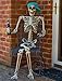 Prextex 5 Ft. Tall Halloween Skeleton- Full Body Halloween Skeleton for Best Halloween Decoration