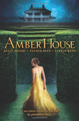 Amber House (Amber House, Book 1)