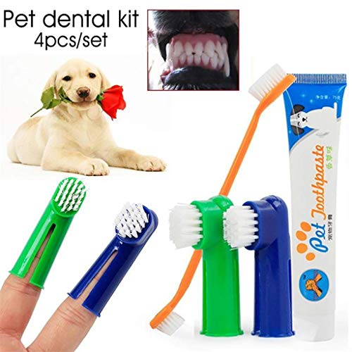 Dog Dental Care Tartar Control Kit for Dogs - Toothpaste, Toothbrush & Fingerbrush - Pet Cat Toothbrush Puppy Dog Finger Toothbrush - Reduces Plaque and Tartar Buildup - 4 Piece Kit (Beef Flavor)