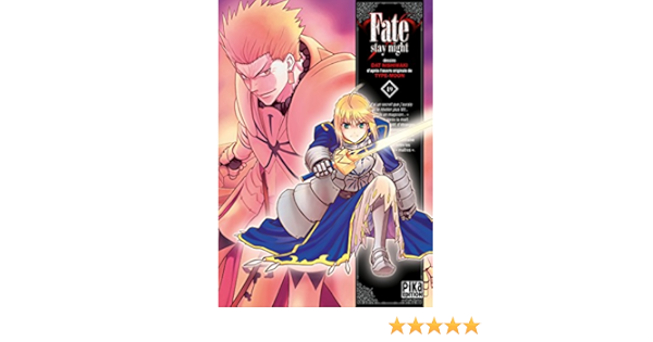 Fate Stay Night T19 Fate Stay Night 19 Nishiwaki Dat Amazon Com Books