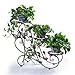 HLC 3 Tier Metal Garden Plant Stand Flower Pot Plant Holder Display Rack for Indoor Outdoor Use,Metal Flower Stand With 3 Flower Pot for Patio, Living Room,Corner Balcony and Bedroom