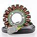 RMSTATOR Stator Replacement for Can-Am Renegade 800R 1000 / Outlander MAX R DPS XT XMR - 650 800 1000R 2010-2020 XXC XTP LTD | OEM Repl.# 420685630/420685631 / 420685632